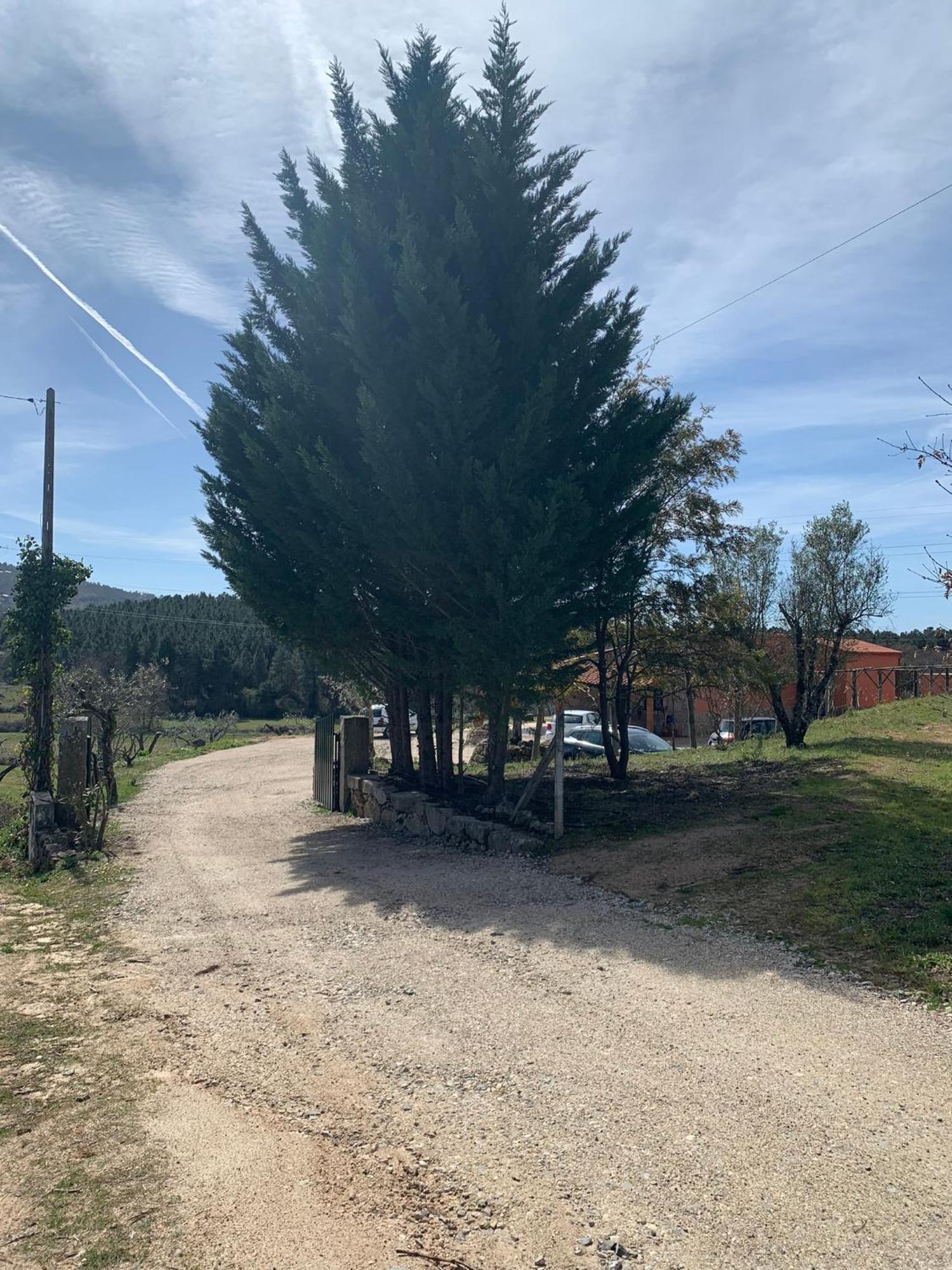 Quinta Dos Cedros L Turismo Rural Covilhã Kültér fotó
