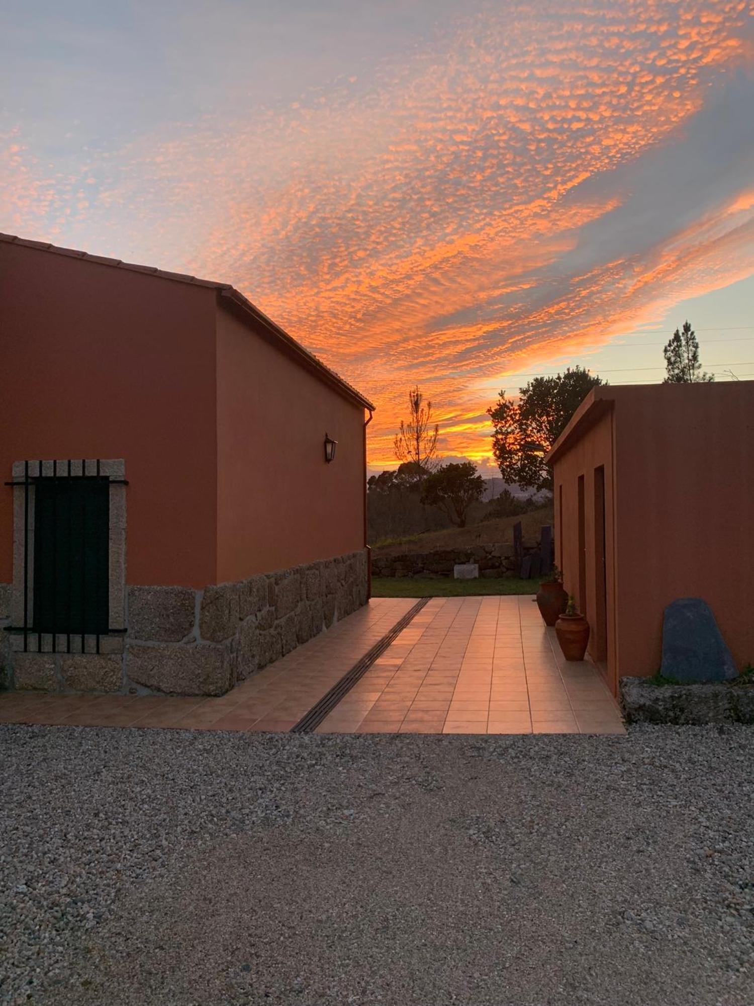 Quinta Dos Cedros L Turismo Rural Covilhã Kültér fotó